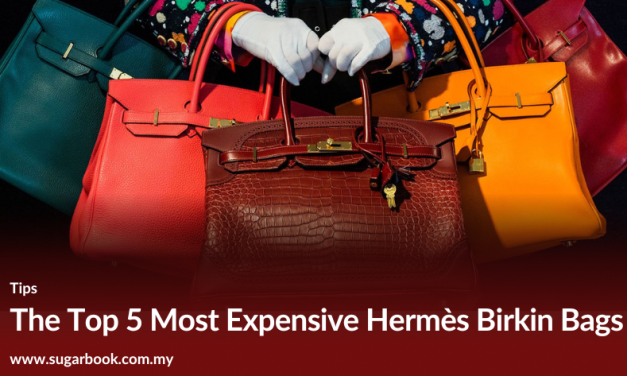 Top 5 Most Expensive Hermes Birkin Bags (2025 List)