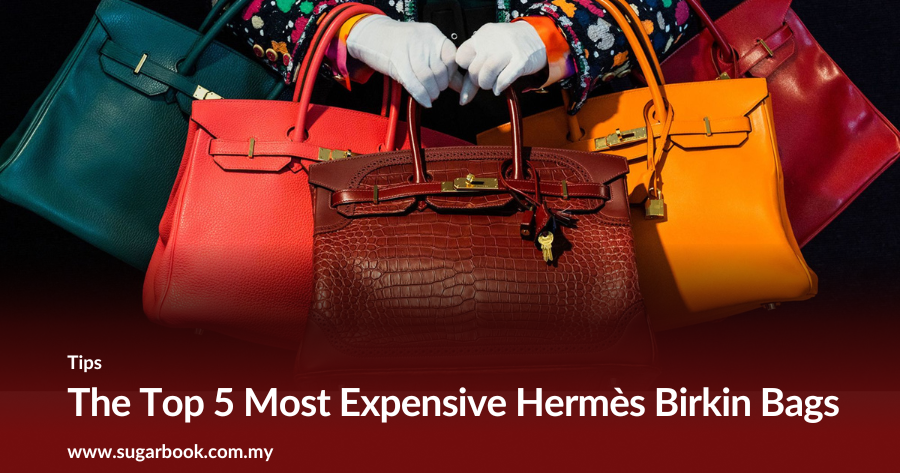 Top 5 Most Expensive Hermes Birkin Bags (2025 List)